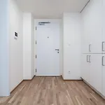 Elvis Deluxe *